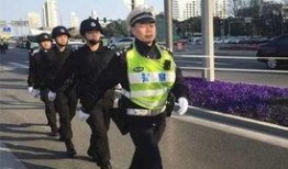 宁波交警大爆料最新消息,多起交通违法行为引发关注