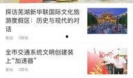 芜湖市新闻爆料,聚焦城市热点事件，揭示社会现象